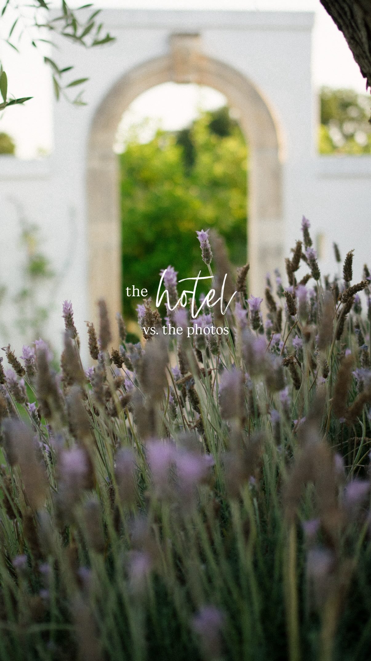 to every boutique hotel & travel brand with a story worth telling — i see you. & i would love to tell it. ✨🌿

i’m Lauren, “Lo” for short, & i run laurenbelz.com … a boutique & luxury travel blog built around beautiful places, honest storytelling & an audience of people actively planning their next trip.

this is @masserialetorri — one of the most beautiful stays in southern Italy. and this is what i can do for a property like yours. 

my inbox is open. let’s make some magic !!! ✨💛

#travelblogger #travelphotographer #boutiquehotels #hotelphotography #travelcreator