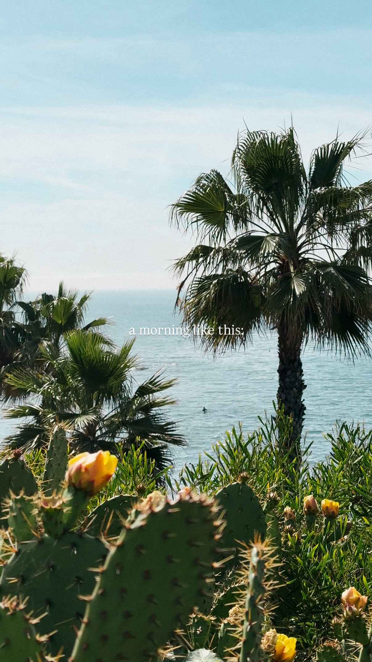 a morning like this: soft light, surfers catching waves, the kind of stillness that reminds you why you live somewhere beautiful. ✨☀️

📍Heisler Park — Laguna Beach, California

#lagunabeach #orangecounty #southerncalifornia #californiacoast #lagunabeachcalifornia

Laguna Beach | California coast | things to do in Laguna Beach | Orange County coast