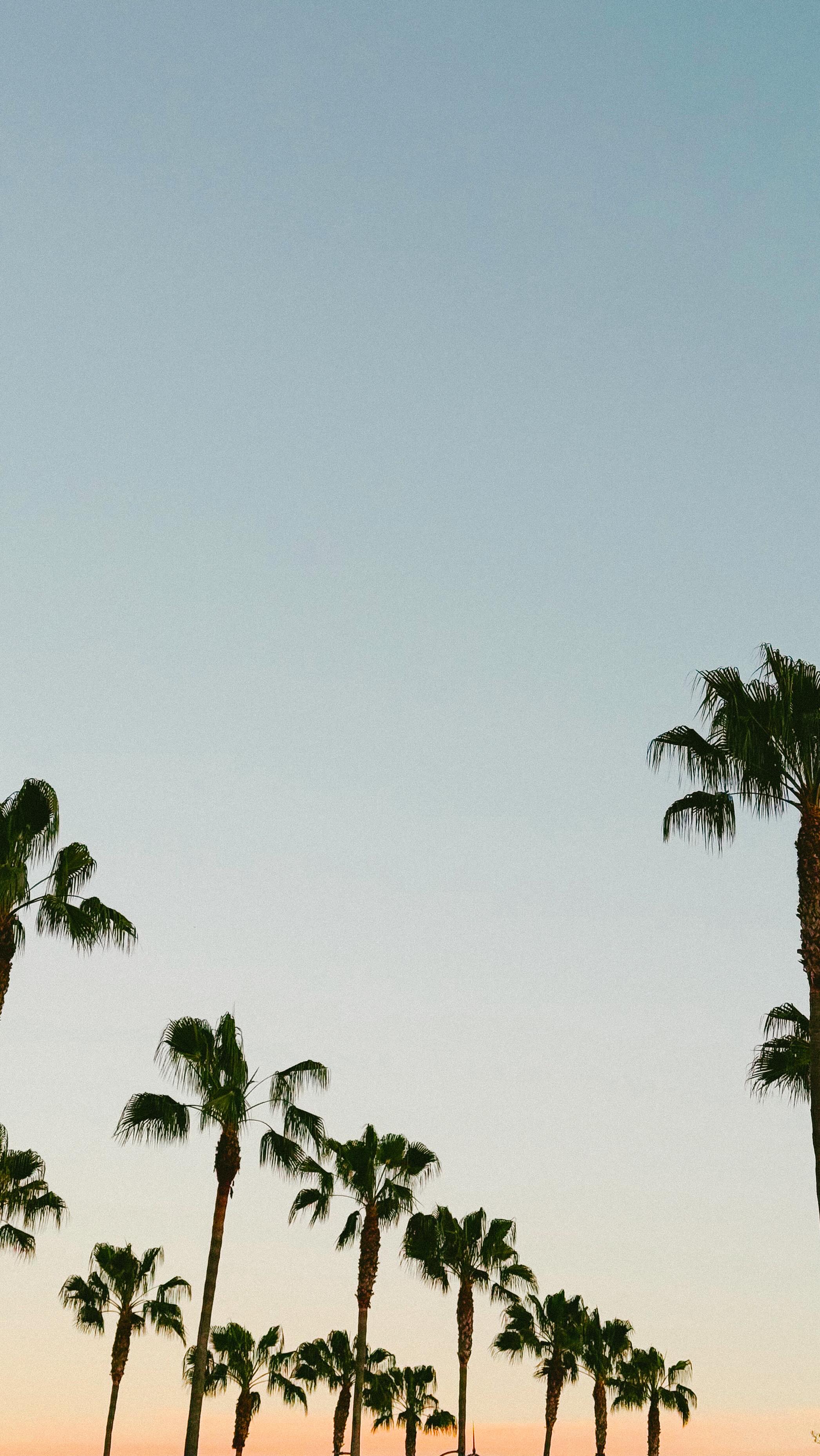 OC, you never disappoint. ✨🌊🍊

PS. my Newport Beach guide is here !!! where to stay in Newport Beach (@bayshoresnewport 👀✨) where to eat (@fableandspirit is a non-negotiable), what to do & how to make the most of a weekend here.

🔗 you know where to find it!🫶🏼

#orangecounty #newportbeachca #newportbeach #californiatravel #onlyinsoutherncalifornia