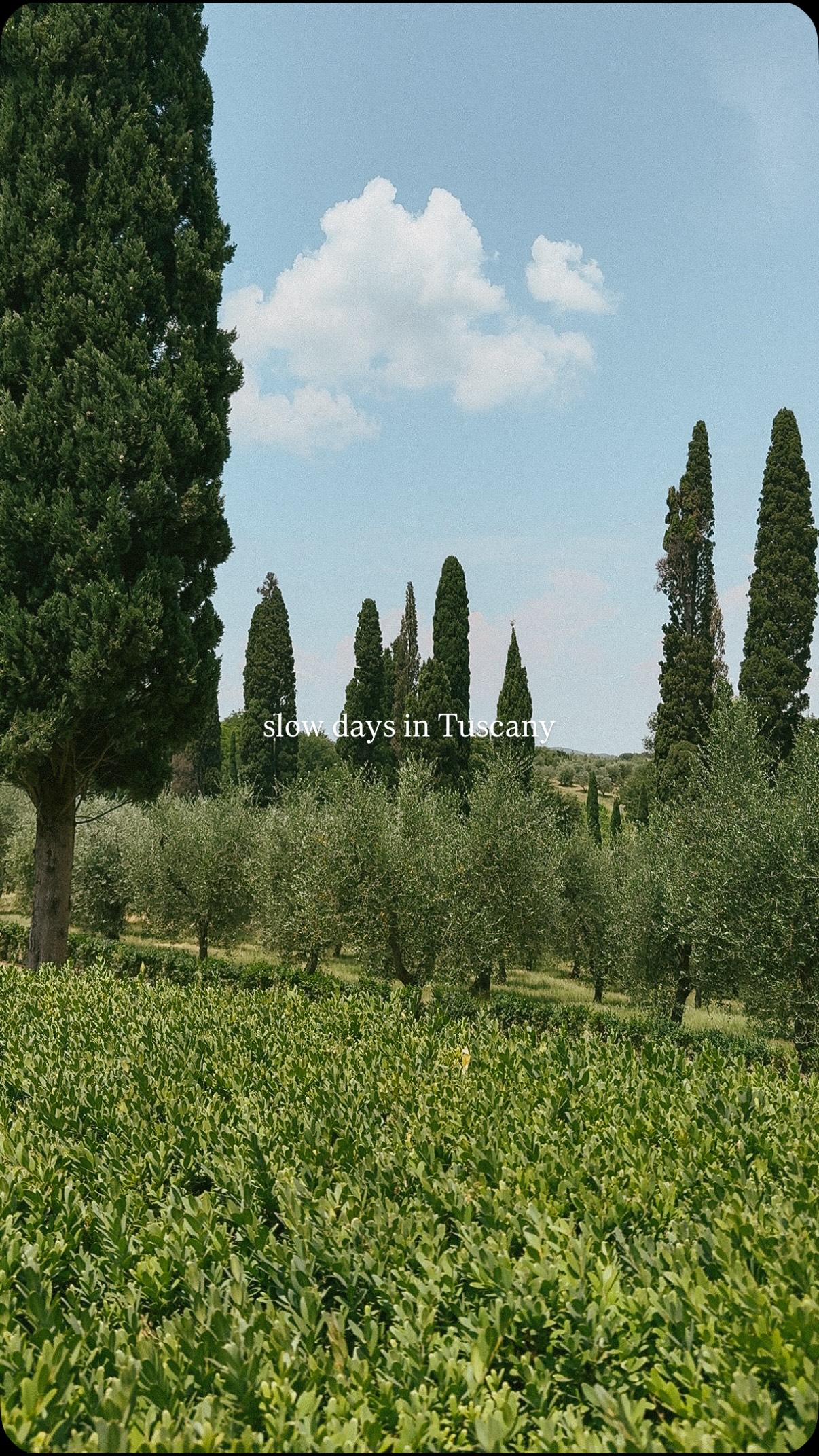 dreaming of slow days in the countryside (with wine, of course)!🍷✨🌳🇮🇹

📍 @poggiotorselli 

#tuscanwine #tuscany #italiancountryside #italiantravel #eurotravel