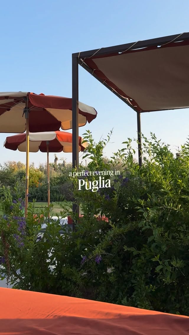 Masseria Santo Scalone, our honeymoon home for the first few days after we got married at Masseria Grieco.

rust orange umbrellas. a quiet pool. olive trees in every direction. the kind of place that makes you understand exactly why people fall in love with southern Italy.

save this one for your Italy list. 🫒

#puglia #italyhoneymoon #masseria #boutiquehotel #boutiquetravel
