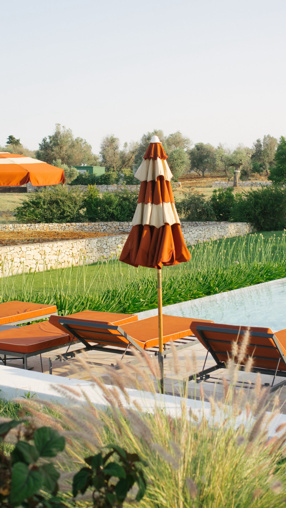 the sun beginning to dip into the Itria Valley, a pool view with no one around, feline friends coming out to say hello. this is what a perfect evening in Puglia looks like. ✨🤭🫶🏼🌿🌞🇮🇹

📍 Masseria Santo Scalone — Ostuni, Italy

#pugliaitaly #ostuni #ostunicittàbianca #masseria #italylovers